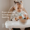From teething to independent feeding